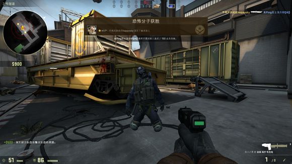 山东泰山5 山东泰山5